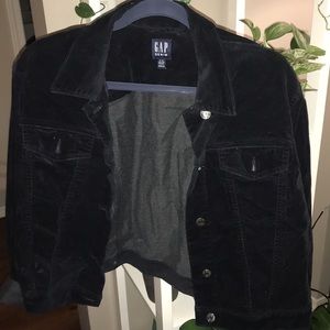 Gap Velvet Cropped Jacket